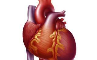 Миокардит: причины, симптомы и лечение