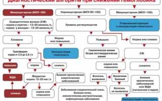 Норма гемоглобина в крови у женщин после 50 лет