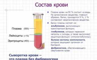 Сыворотка крови человека: что это такое и как ее получить