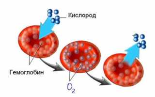 При беременности низкий гемоглобин: как и чем поднять