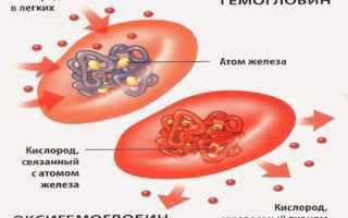 Повышенный гемоглобин в крови: причины, чем опасен и как лечить